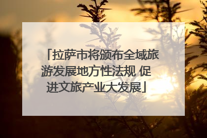拉萨市将颁布全域旅游发展地方性法规 促进文旅产业大发展