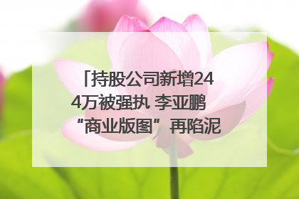 持股公司新增244万被强执 李亚鹏“商业版图”再陷泥潭？｜科技观察