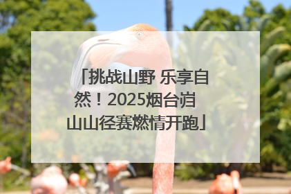 挑战山野 乐享自然！2025烟台岿山山径赛燃情开跑