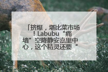 挤爆，堪比菜市场！Labubu“痛墙”空降静安嘉里中心，这个精灵还要“突袭”便利店？