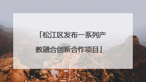 松江区发布一系列产教融合创新合作项目