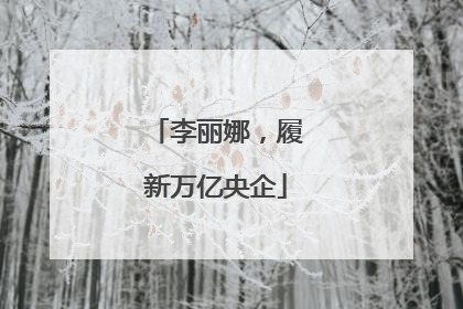 李丽娜，履新万亿央企