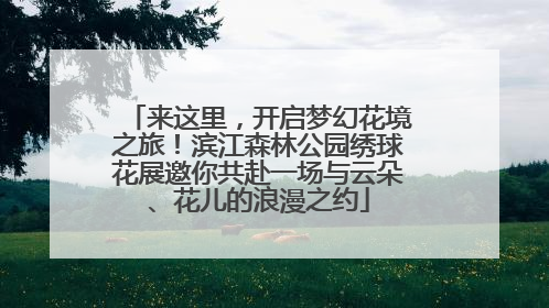 来这里，开启梦幻花境之旅！滨江森林公园绣球花展邀你共赴一场与云朵、花儿的浪漫之约