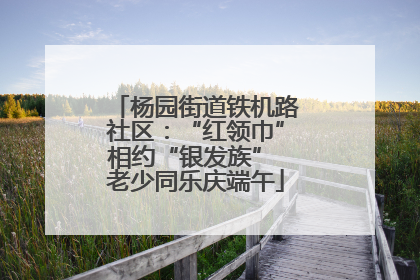 杨园街道铁机路社区：“红领巾”相约“银发族” 老少同乐庆端午
