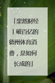 果然财经丨破百亿的德州体育消费，是如何长成的