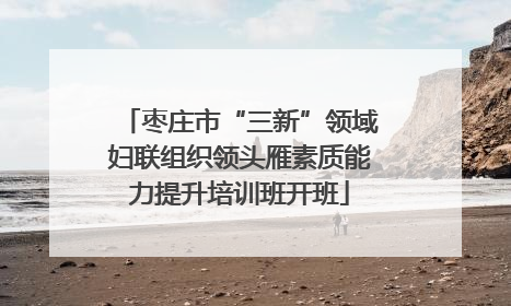 枣庄市“三新”领域妇联组织领头雁素质能力提升培训班开班