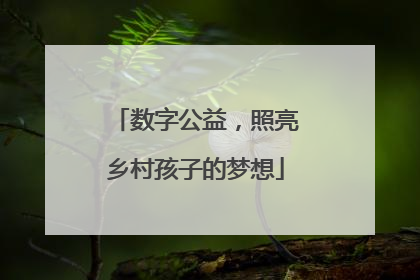 数字公益，照亮乡村孩子的梦想