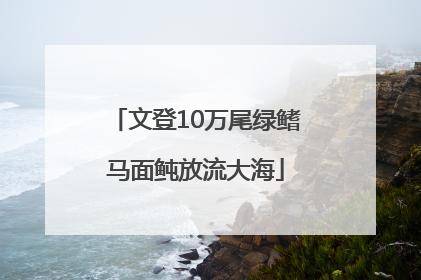 文登10万尾绿鳍马面鲀放流大海