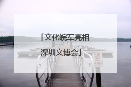 文化皖军亮相深圳文博会