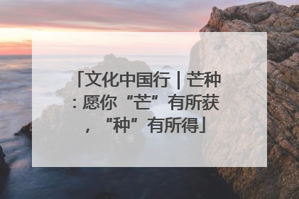 文化中国行｜芒种：愿你“芒”有所获，“种”有所得