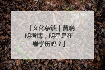 文化杂谈｜黄晓明考博，明星是在卷学历吗？
