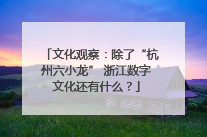 文化观察：除了“杭州六小龙” 浙江数字文化还有什么？