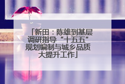 新田：陈雄到基层调研指导“十五五”规划编制与城乡品质大提升工作