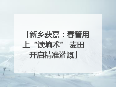 新乡获嘉：春管用上“读墒术” 麦田开启精准灌溉