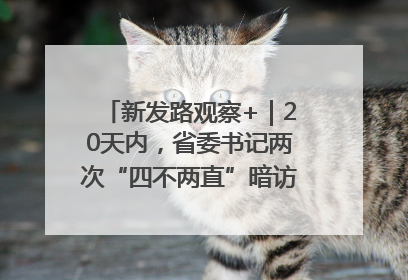 新发路观察+｜20天内，省委书记两次“四不两直”暗访，有何深意？
