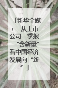 新华全媒+｜从上市公司一季报“含新量”看中国经济发展向“新”