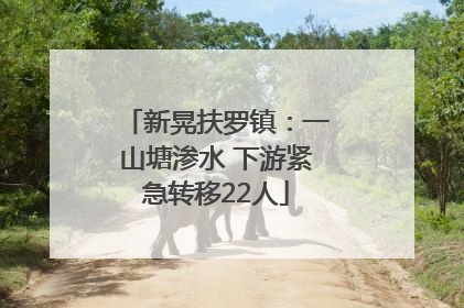 新晃扶罗镇：一山塘渗水 下游紧急转移22人