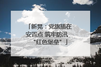 新晃：党旗插在安置点 筑牢防汛“红色堡垒”