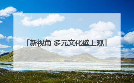 新视角 多元文化壁上观