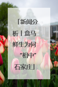 新闻分析丨盒马鲜生为何“相中”石家庄