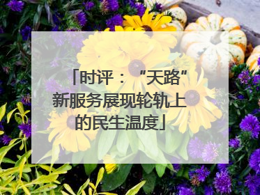 时评：“天路”新服务展现轮轨上的民生温度
