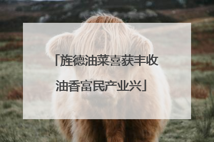 旌德油菜喜获丰收 油香富民产业兴