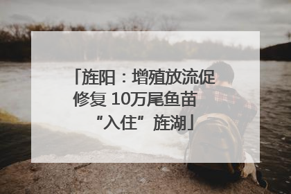旌阳：增殖放流促修复 10万尾鱼苗“入住”旌湖