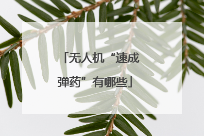 无人机“速成弹药”有哪些