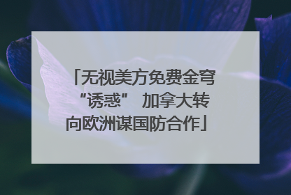 无视美方免费金穹“诱惑” 加拿大转向欧洲谋国防合作