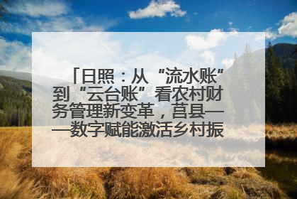 日照：从“流水账”到“云台账”看农村财务管理新变革，莒县——数字赋能激活乡村振兴“一池春水”