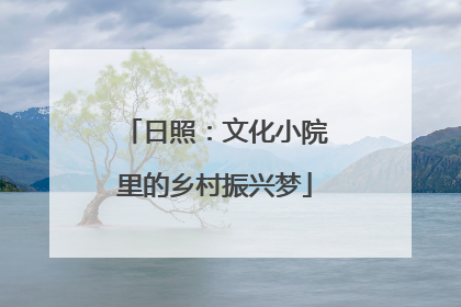 日照：文化小院里的乡村振兴梦