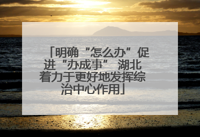 明确“怎么办”促进“办成事” 湖北着力于更好地发挥综治中心作用