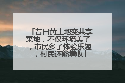 昔日黄土地变共享菜地，不仅环境美了，市民多了体验乐趣，村民还能增收