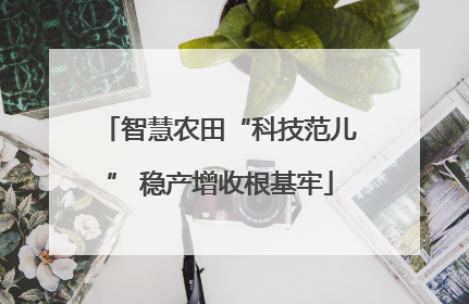 智慧农田“科技范儿” 稳产增收根基牢