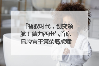智驭时代，创变领航！德力西电气首席品牌官王策荣膺虎啸奖年度品牌人物
