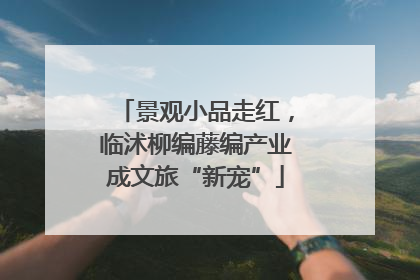 景观小品走红，临沭柳编藤编产业成文旅“新宠”