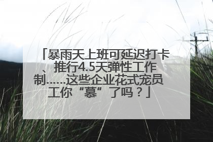 暴雨天上班可延迟打卡、推行4.5天弹性工作制……这些企业花式宠员工你“慕”了吗？