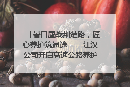 暑日鏖战荆楚路，匠心养护筑通途——江汉公司开启高速公路养护专项工程建设热潮
