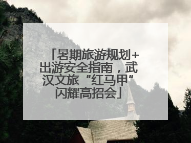 暑期旅游规划+出游安全指南，武汉文旅“红马甲”闪耀高招会