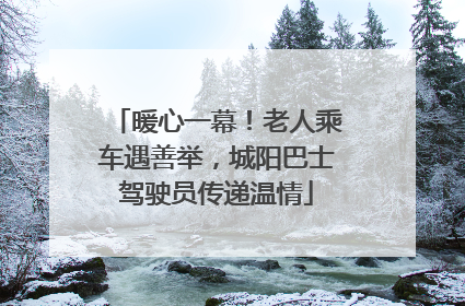 暖心一幕！老人乘车遇善举，城阳巴士驾驶员传递温情