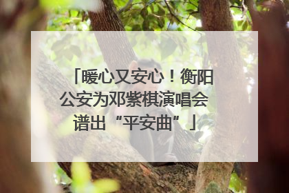 暖心又安心！衡阳公安为邓紫棋演唱会谱出“平安曲”