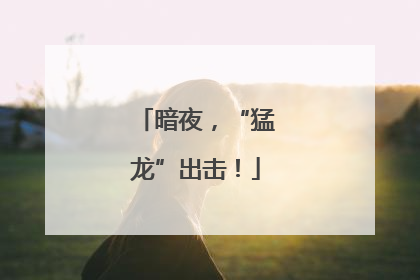 暗夜，“猛龙”出击！