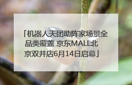 机器人天团助阵家场景全品类覆盖 京东MALL北京双井店6月14日启幕