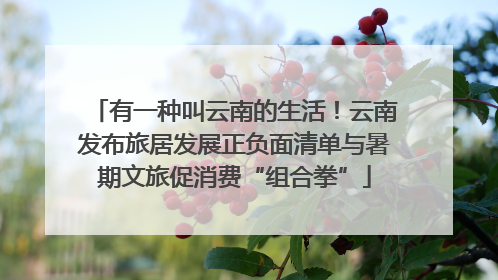 有一种叫云南的生活！云南发布旅居发展正负面清单与暑期文旅促消费“组合拳”