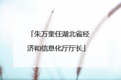 朱万奎任湖北省经济和信息化厅厅长