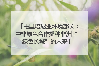 毛里塔尼亚环境部长：中非绿色合作播种非洲“绿色长城”的未来