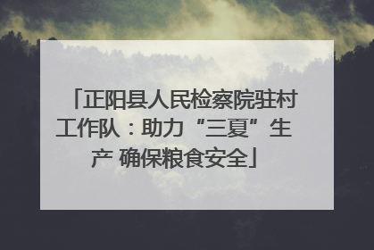 正阳县人民检察院驻村工作队：助力“三夏”生产 确保粮食安全