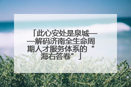 此心安处是泉城——解码济南全生命周期人才服务体系的“海右答卷”