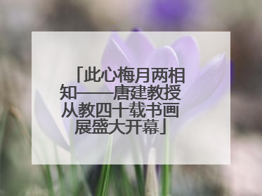 此心梅月两相知——唐建教授从教四十载书画展盛大开幕