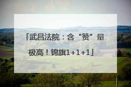 武昌法院：含“赞”量极高！锦旗1+1+1